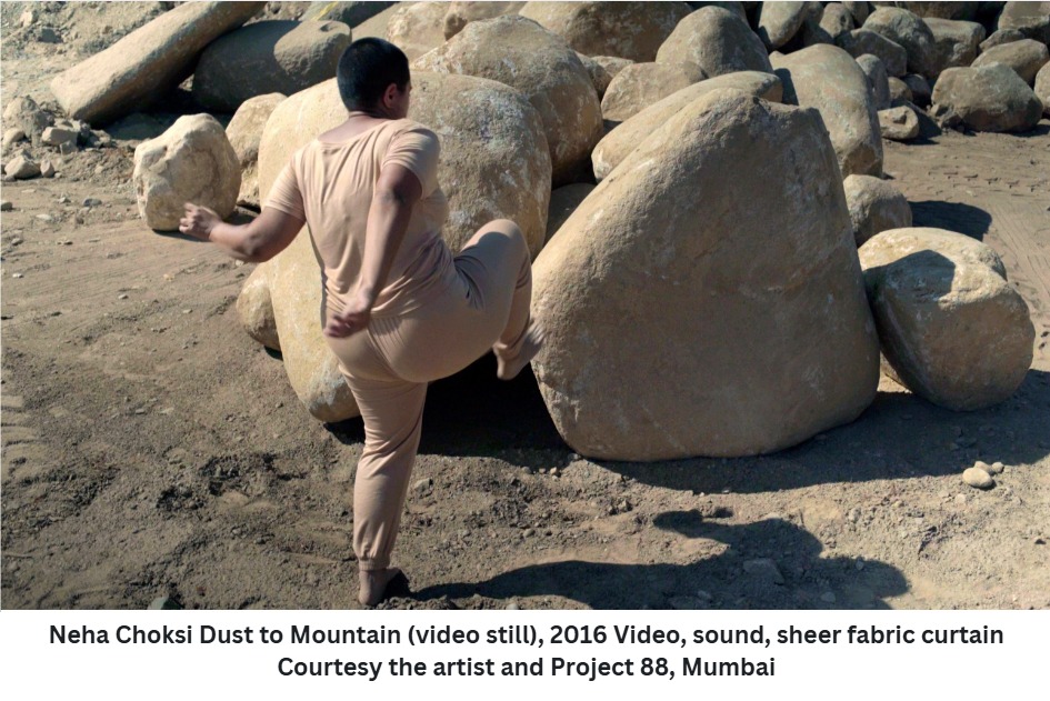 Kiran Nadar Musuem of Art Presents The Elemental You