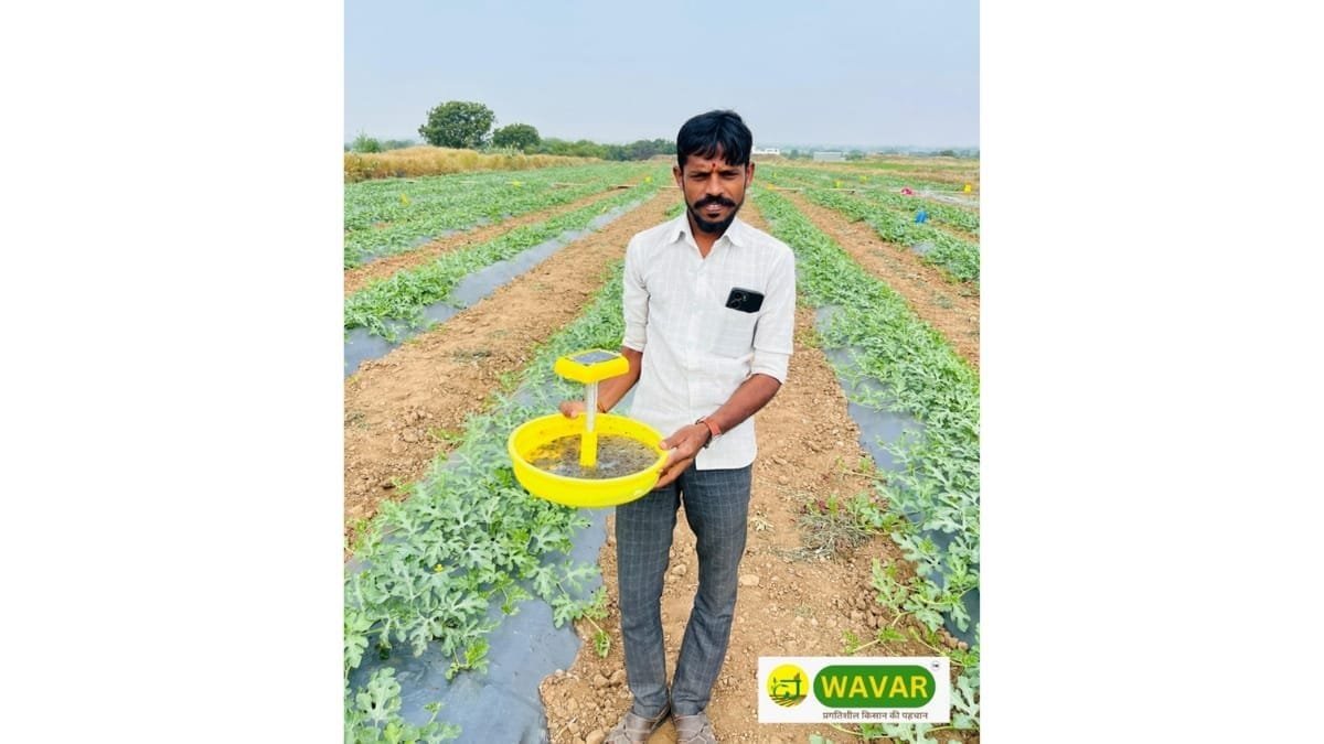 Farmers Across India Reap Benefits from Integrated Pest Management Solutions by Wavar